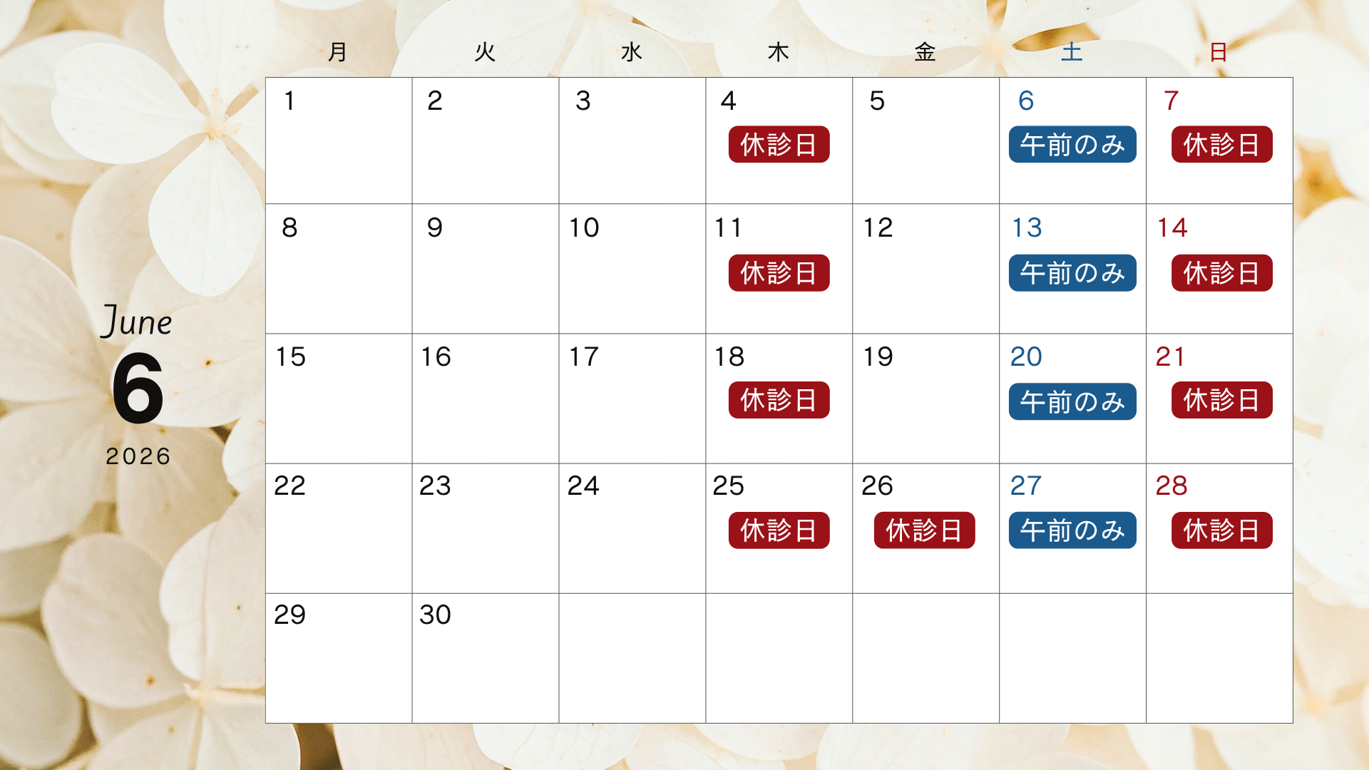 2026年6月診療日