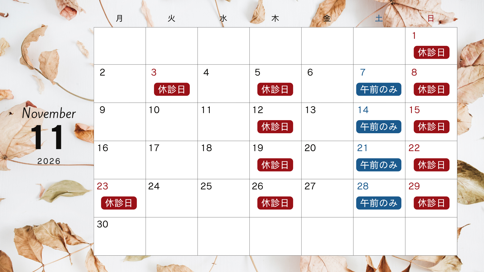 2026年11月診療日
