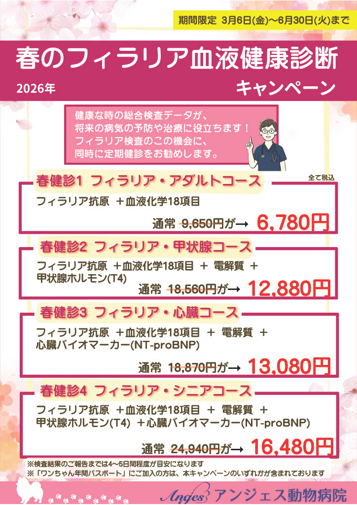 春のフィラリア血液健康診断