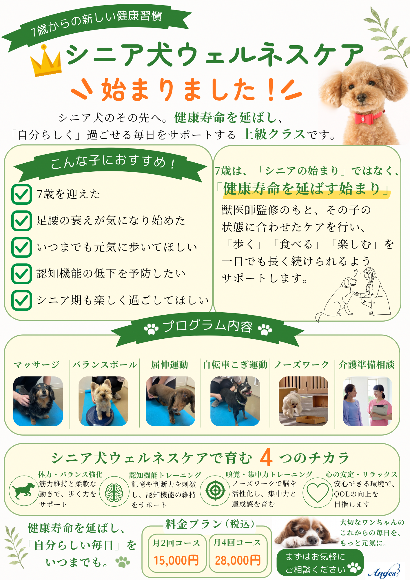 7歳からの新しい健康習慣