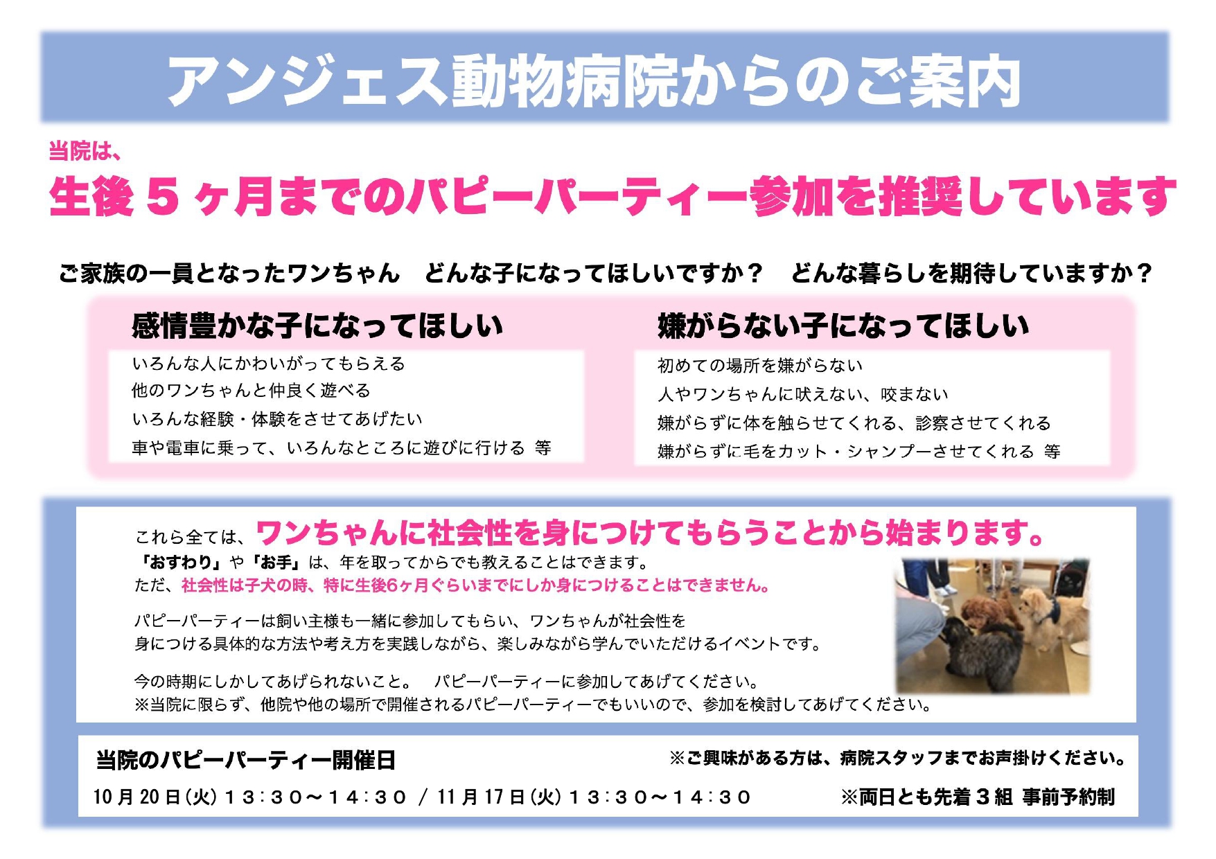 パピーパーティー案内 パピーパーティー10・11月