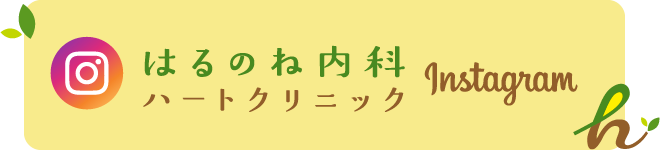 インスタグラム